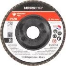 Strend Pro Premium lamellás gyémánt csiszolókorong 115X22 mm, P120