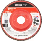 Strend Pro Premium lamellás gyémánt csiszolókorong 115X22 mm, P200