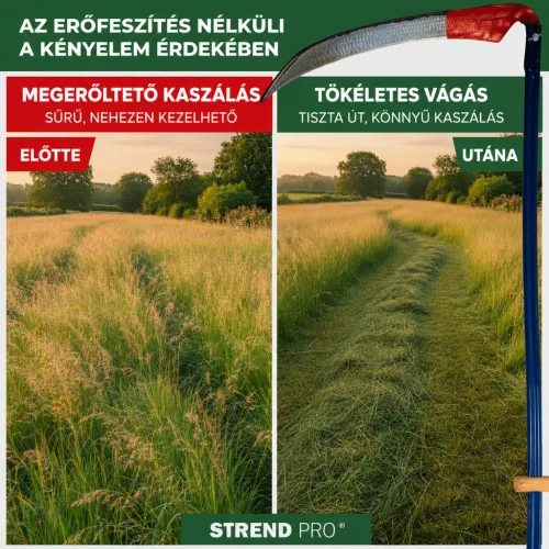 kasza_euro_70_cm_kovacsolt__fem_kaszanyellel_fuhoz