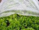 garden_b1106_32_x_10_m_vaszon_nem_szott_17_gm2_feher