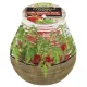 Bolsius Teracce Citronella gyertya 94/91 mm