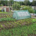 palantanevelo_strend_pro_greenhouse_folia_foliasator_180x140x94_cm_foliasator