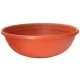 viragcserep_ics_clivia_50x16_cm
